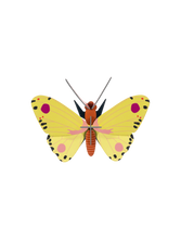 Load image into Gallery viewer, Luzerne Butterfly 3D Kit