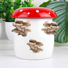 Load image into Gallery viewer, Mushroom Growing Kit - Tigertree
