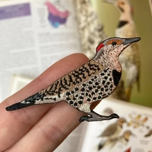 Load image into Gallery viewer, Northern Flicker Patch