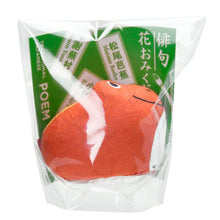 Load image into Gallery viewer, Poem + Plant Frogs - Tigertree