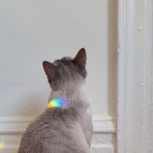Load and play video in Gallery viewer, Heart Rainbow Maker
