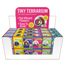 Load image into Gallery viewer, Tiny Carnivorous Glass Terrarium - Tigertree