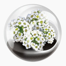 Load image into Gallery viewer, Tiny Carnivorous Glass Terrarium - Tigertree