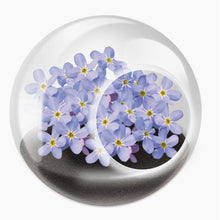 Load image into Gallery viewer, Tiny Carnivorous Glass Terrarium - Tigertree