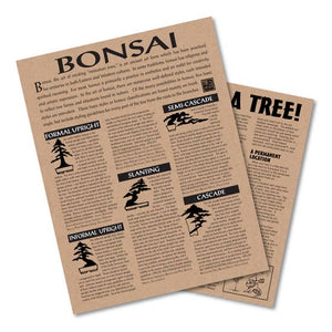 Bonsai Tree Grow Kit - Tigertree