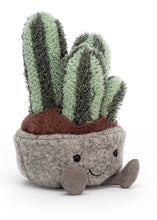 Load image into Gallery viewer, Silly Succulent Columnar Cactus - Tigertree
