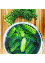 Load image into Gallery viewer, Pickle Making Kit - Tigertree