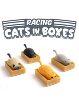 Load image into Gallery viewer, Racing Cats in Boxes - Tigertree
