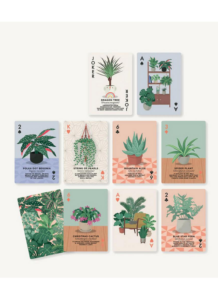 Houseplants Playing Cards Tigertree