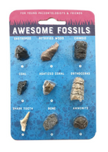 Load image into Gallery viewer, Awesome Fossils - Tigertree
