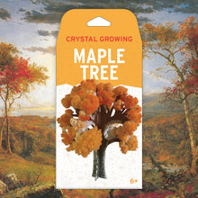Load image into Gallery viewer, Maple Tree Crystal Growing Kit - Tigertree
