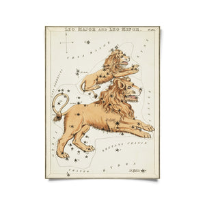 8x10 Zodiac Print - Tigertree