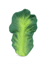 Load image into Gallery viewer, Kendall The Kale - Tigertree