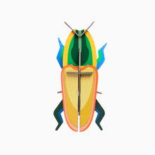 Load image into Gallery viewer, Madagascar Beetle - Tigertree