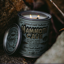 Load image into Gallery viewer, National Park Pint Candle - Tigertree