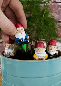 Plant Pot Gnomes - Tigertree