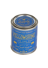 Load image into Gallery viewer, National Park Pint Candle - Tigertree