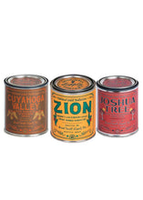 Load image into Gallery viewer, National Park Pint Candle - Tigertree