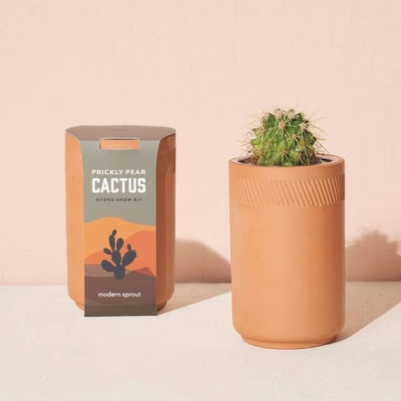 Terracotta Kit - Cactus