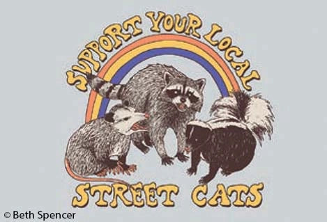 Street Cats Magnet - Tigertree