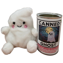 Load image into Gallery viewer, Canned Ghost
