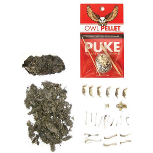 Owl Pellet