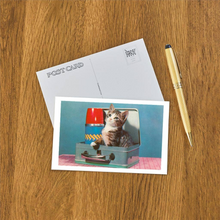 Load image into Gallery viewer, Kitten in a Lunchbox Postcard
