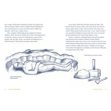 Load image into Gallery viewer, Cryptid Creatures
