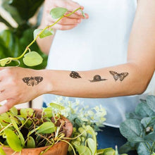 Load image into Gallery viewer, NGA Insects Tattoo Sheet
