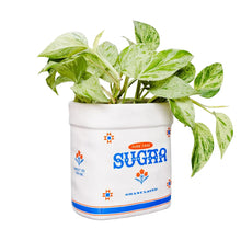 Load image into Gallery viewer, Ceramic Planter - Sugar Jar
