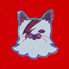 Load image into Gallery viewer, David Bowie Cat Sticker
