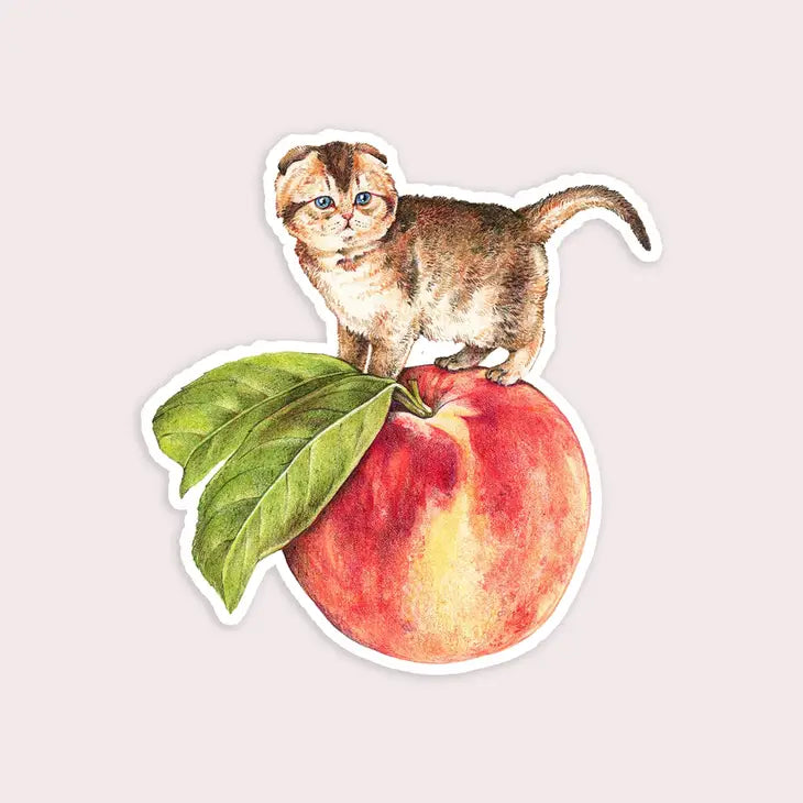 Peach Cat Sticker - Tigertree