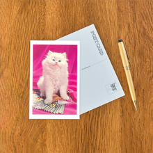 Load image into Gallery viewer, Alert Fluffy Kitten Postcard
