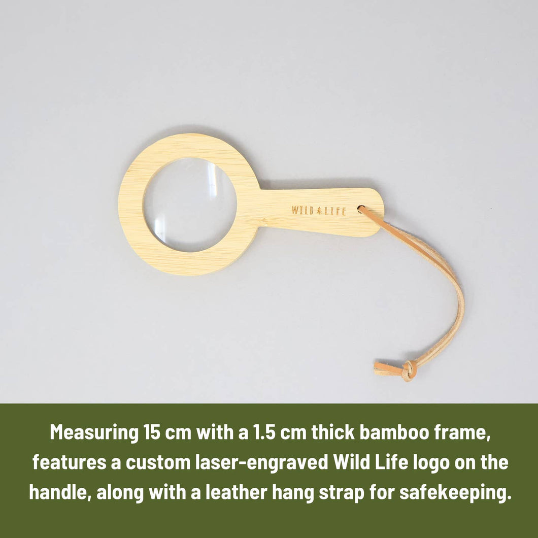 Eye Spy Eco Bamboo Magnifying Glass - Tigertree