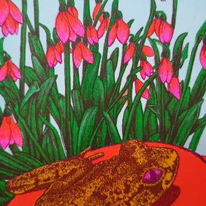 Frog Riso Print