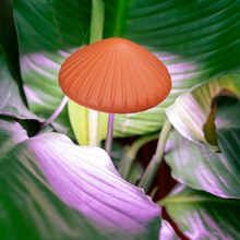 Load image into Gallery viewer, Mushroom Grow Light
