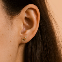 Load image into Gallery viewer, Fortune Dog Studs- 18 K GP
