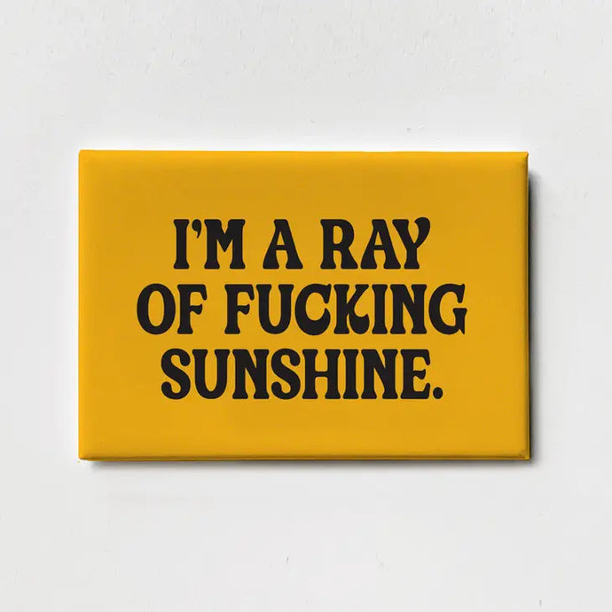 Ray of Fucking Sunshine Magnet - Tigertree