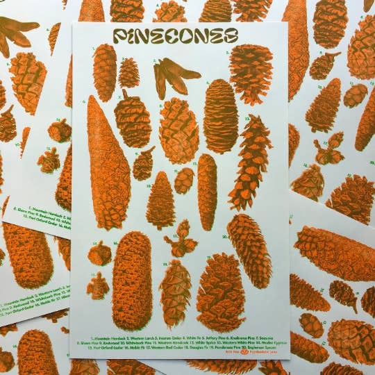 Pinecone ID Risograph Print - Tigertree