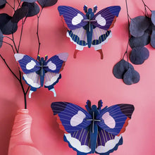 Load image into Gallery viewer, Swallowtail Butterflies Kit - Set of 3 - Tigertree
