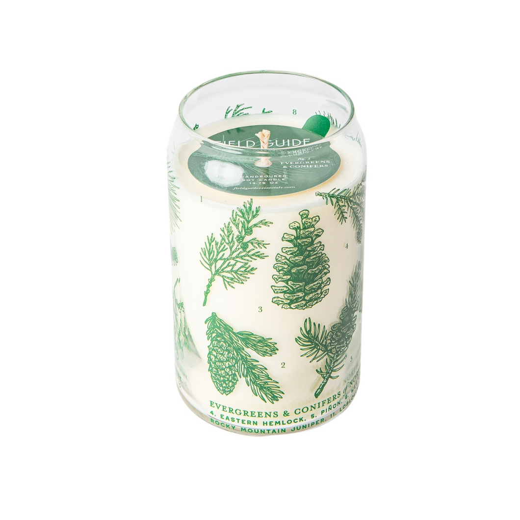 Forest Floor Evergreens & Conifers Candle