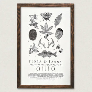 Ohio Field Guide Print - Tigertree