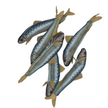 Load image into Gallery viewer, Canned Sardines
