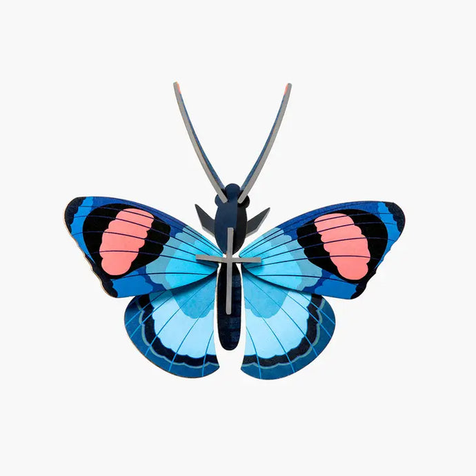 Peacock Butterfly - Tigertree