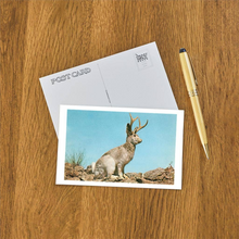 Load image into Gallery viewer, Jacklope Postcard

