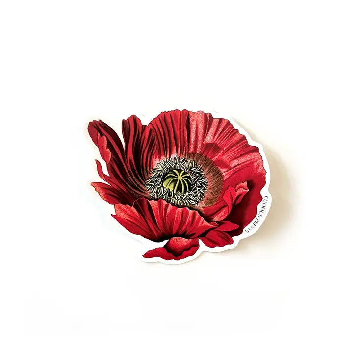 Vintage Poppy Sticker - Tigertree