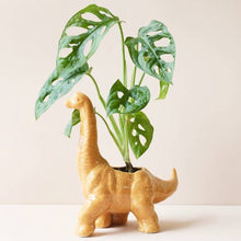 Load image into Gallery viewer, Mustard Dinosaur Planter - Tigertree

