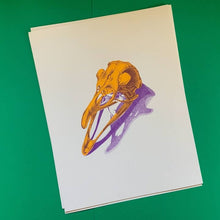 Load image into Gallery viewer, Bird Skull Risograph Print - Tigertree
