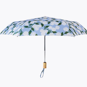 Hydrangea Umbrella - Tigertree