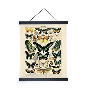11x14 Vintage Millot Butterfly Print - Tigertree